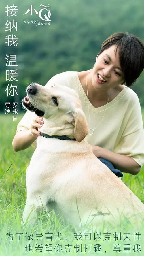 做个派克维尔大学文凭